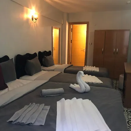 رايديل فندق 3*