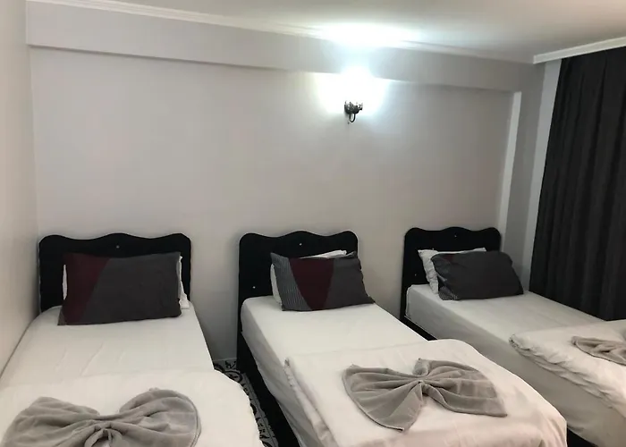 رايديل فندق 2*