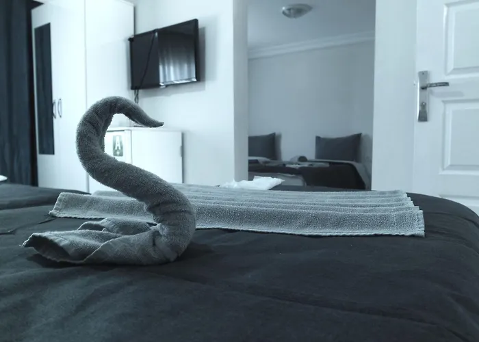 فندق رايديل 2*